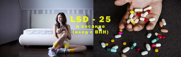 индика Абинск