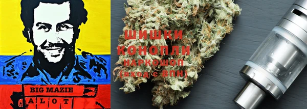 индика Абинск