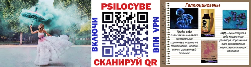 где можно купить наркотик  Томилино  ОМГ ОМГ как зайти  Галлюциногенные грибы мухоморы 